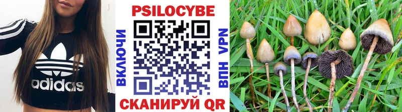 Галлюциногенные грибы прущие грибы  Купить  Усмань 